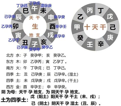 甲乙丙丁戊己庚辛壬癸|十天干、十二地支与五行 、六十甲子基本知识